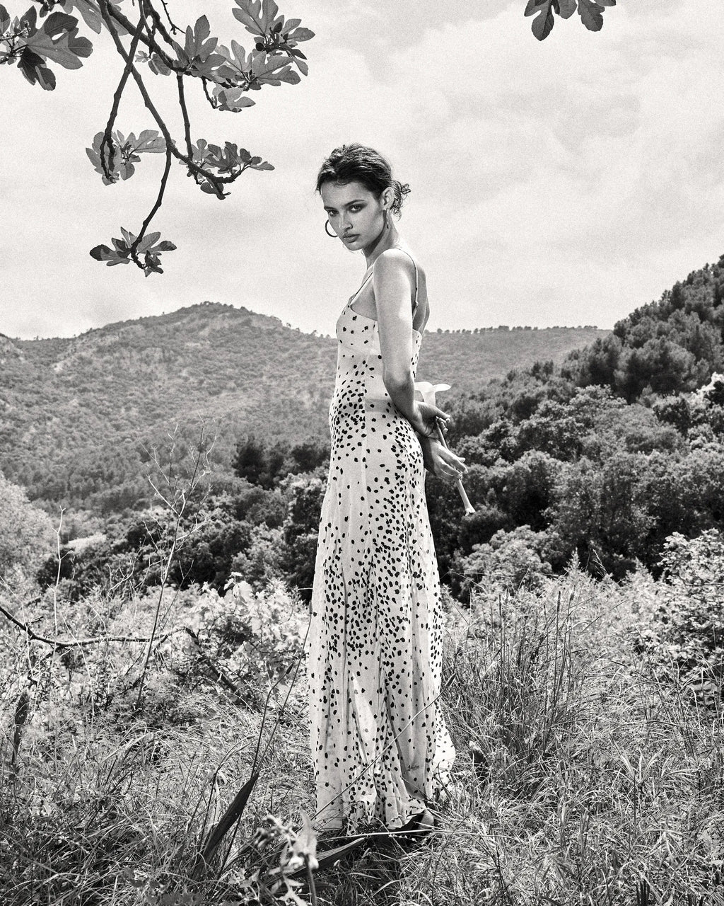 Stevie Dress